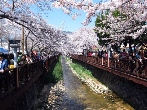  Le Paysage avec un pont de Dong-kyeong : Un Jeu d'Ombres et de Luminairités