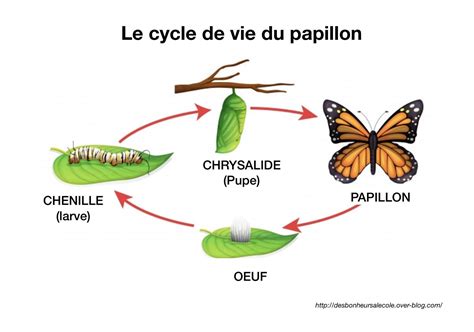  Le Cycle de la Vie: Un Portrait de la Renaissance Thai ?